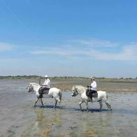 Mas De La Grenouillere Hotel Et Centre Equestre En Pleine Nature Saintes-Maries-de-la-Mer Zewnętrze zdjęcie