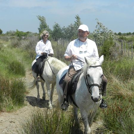 Mas De La Grenouillere Hotel Et Centre Equestre En Pleine Nature Saintes-Maries-de-la-Mer Zewnętrze zdjęcie